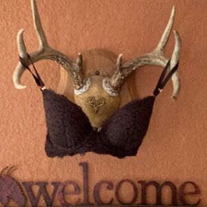 SULTRY  Arie BLACKISH BROWN  Lace BRA  36B NWOT